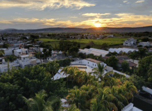 Jardin G